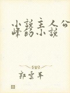 小说主人公叫林峰的小说