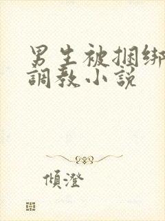男生被捆绑束缚调教小说