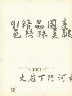 91精品国产黑色丝袜美腿