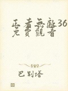 正者无敌36集免费观看封面