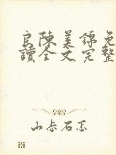 良陈美锦免费阅读全文完整版