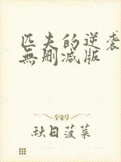 匹夫的逆袭小说无删减版