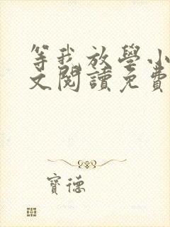 等我放学小说全文阅读免费