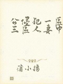 公侵犯一区二区三区人妻中文字幕封面