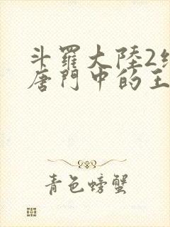 斗罗大陆2绝世唐门中的王冬