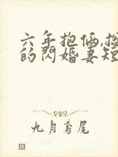 六年抱俩,总裁的闪婚妻短剧