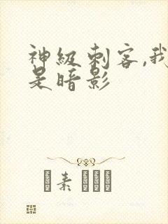 神级刺客,我即是暗影