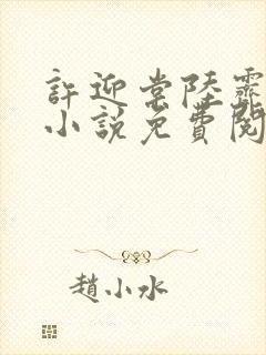 许迎棠陆霁野的小说免费阅读最新章节封面