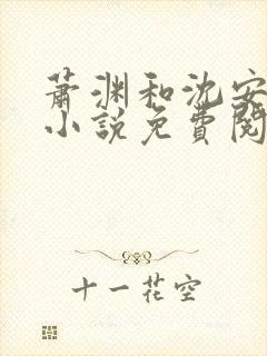 萧渊和沈安安的小说免费阅读