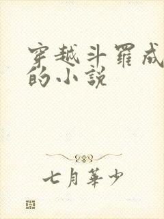 穿越斗罗成魂兽的小说