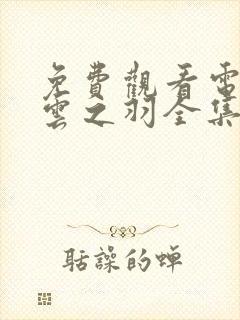 免费观看电视剧云之羽全集在线观看