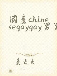 国产chinesegaygay男男网站