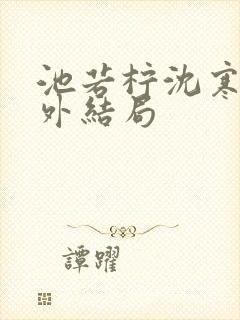 池若柠沈寒声番外结局