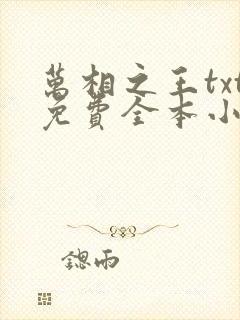 万相之王txt免费全本小说封面