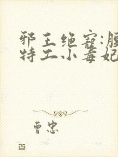 邪王绝宠:腹黑特工小毒妃