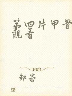 第四片甲骨在线观看