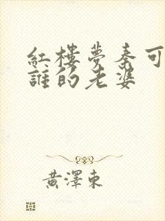 红楼梦秦可卿是谁的老婆封面