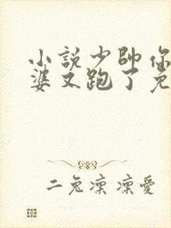 小说少帅你的老婆又跑了免费阅读