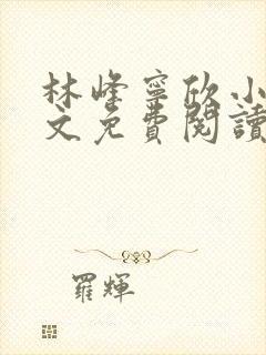 林峰宁欣小说全文免费阅读笔趣阁封面