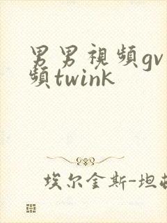 男男视频gv视频twink