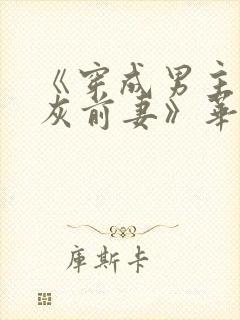 《穿成男主的炮灰前妻》华阙阙封面