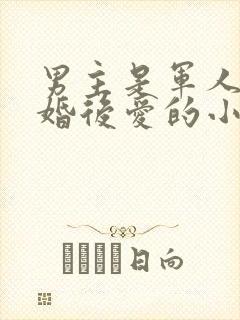 男主是军人的先婚后爱的小说