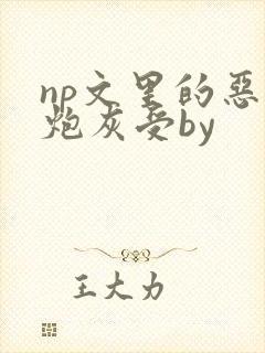 np文里的恶毒炮灰受by