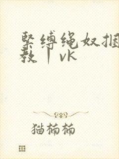 紧缚绳奴捆绑调教丨vk