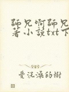 师兄啊师兄的原著小说txt下载