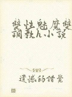 双性魅魔双性受调教h小说封面