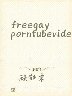 freegayporntubevideos封面