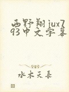 西野翔jux793中文字幕在线收