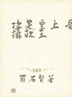 攻是皇上 受是摄政王