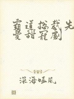 霸道总裁先婚后爱甜宠剧