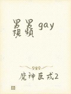 男男 gay 视频