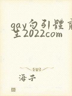 gay勾引体育生2022com
