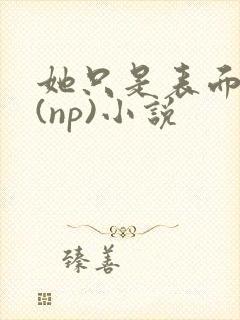 她只是表面清纯(np)小说