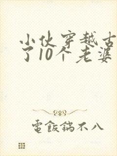 小伙穿越古代娶了10个老婆电视剧