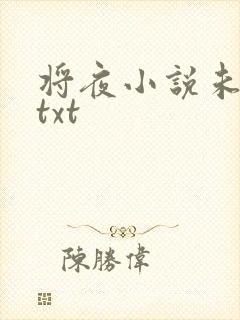 将夜小说未删版txt