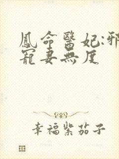 凤命医妃:邪王宠妻无度