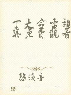 丁大命电视剧全集免费观看西瓜