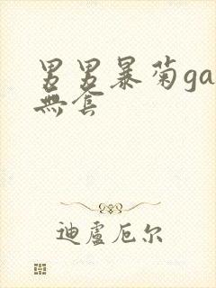 男男暴菊gay无套