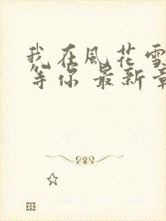 我在风花雪月里等你 最新章节