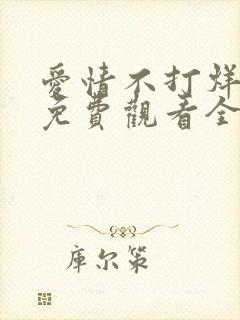 爱情不打烊短剧免费观看全集