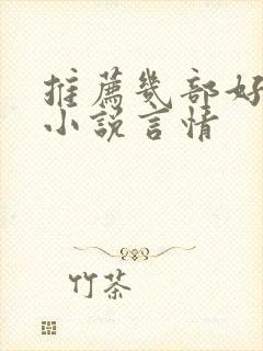 推荐几部好看的小说言情封面