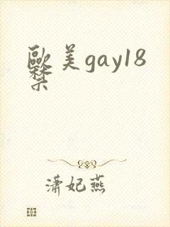 欧美gay18禁