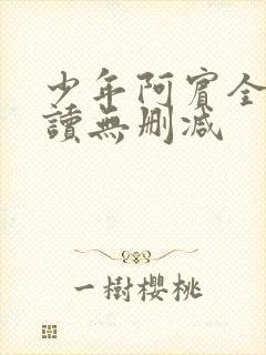 少年阿宾全文阅读无删减