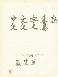 中文字幕熟妇久久久人妻