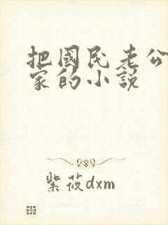 把国民老公带回家的小说