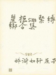 丽柜sm紧缚捆绑合集
